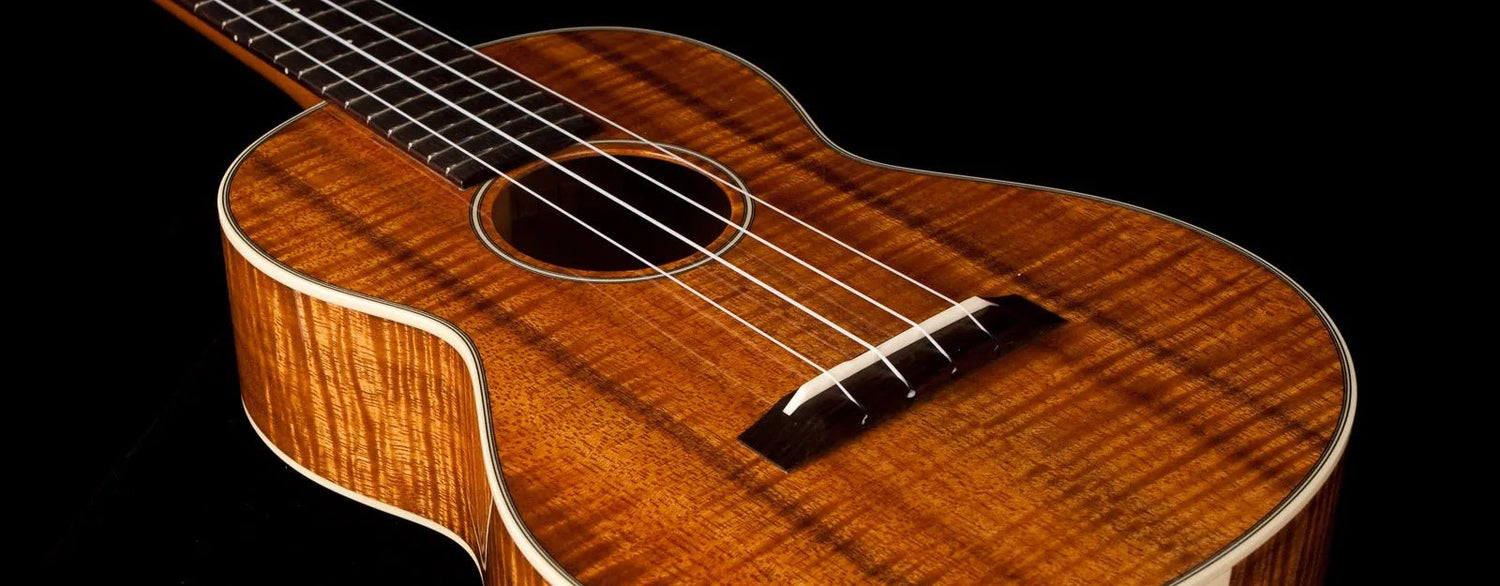 It’s an ukulele world! - Southern Vintage Guitars