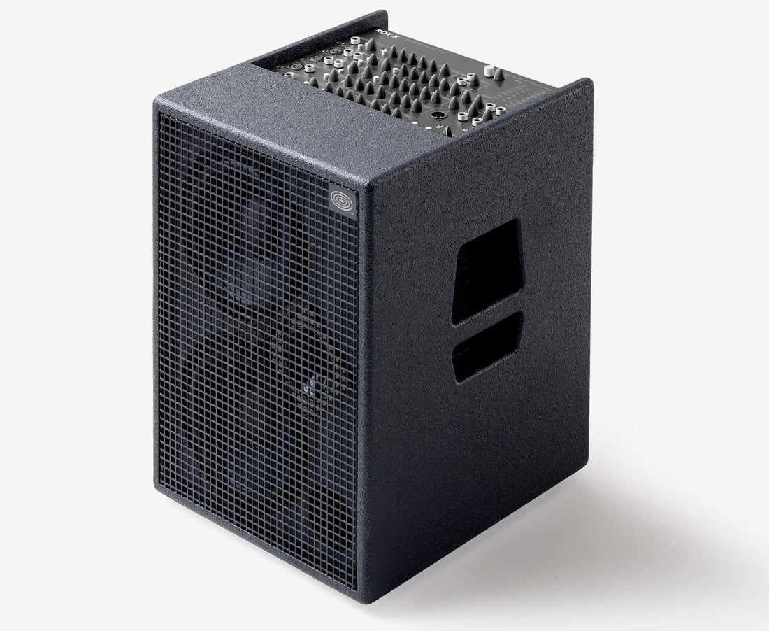 Schertler Roy X - Dave’s Woodstock Music